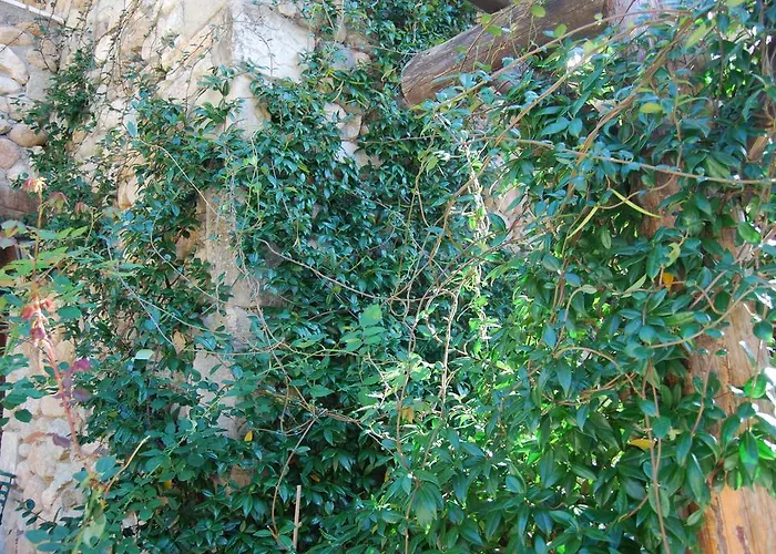 Pyrgos Adrachti קאלאבאקה